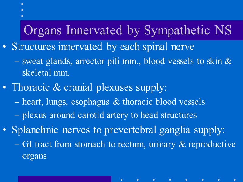 Organs Innervated by Sympathetic NS Structures innervated by each spinal nerve sweat glands, arrector